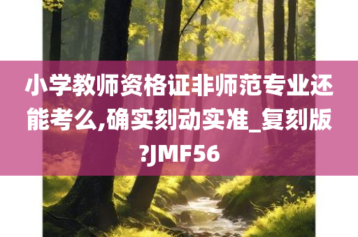 小学教师资格证非师范专业还能考么,确实刻动实准_复刻版?JMF56