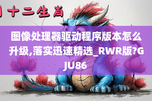 图像处理器驱动程序版本怎么升级,落实迅速精选_RWR版?GJU86