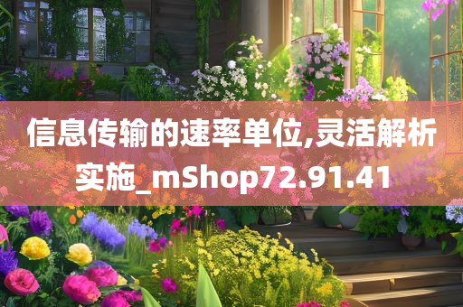 信息传输的速率单位,灵活解析实施_mShop72.91.41