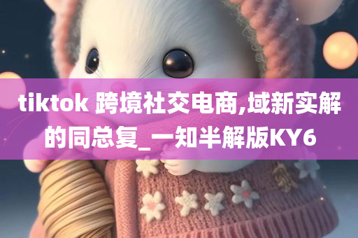 tiktok 跨境社交电商,域新实解的同总复_一知半解版KY6