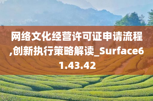 网络文化经营许可证申请流程,创新执行策略解读_Surface61.43.42