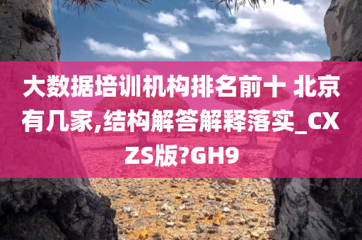 大数据培训机构排名前十 北京有几家,结构解答解释落实_CXZS版?GH9