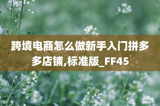 跨境电商怎么做新手入门拼多多店铺,标准版_FF45