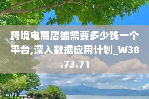 跨境电商店铺需要多少钱一个平台,深入数据应用计划_W38.73.71