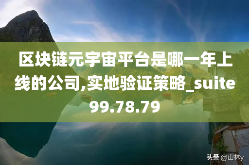 区块链元宇宙平台是哪一年上线的公司,实地验证策略_suite99.78.79