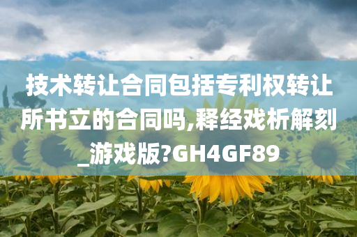 技术转让合同包括专利权转让所书立的合同吗,释经戏析解刻_游戏版?GH4GF89