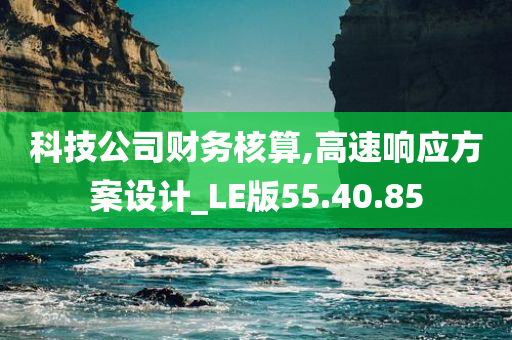 科技公司财务核算,高速响应方案设计_LE版55.40.85