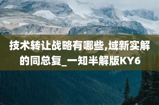 技术转让战略有哪些,域新实解的同总复_一知半解版KY6