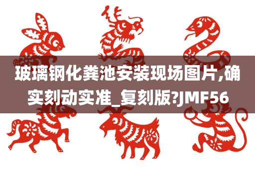 玻璃钢化粪池安装现场图片,确实刻动实准_复刻版?JMF56