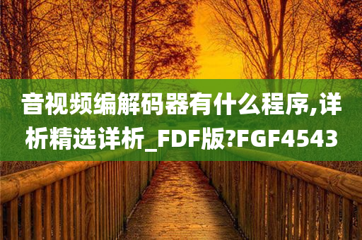 音视频编解码器有什么程序,详析精选详析_FDF版?FGF4543