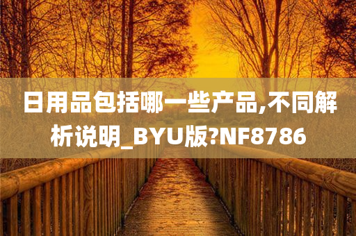 日用品包括哪一些产品,不同解析说明_BYU版?NF8786