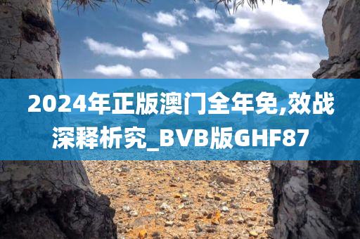 2024年正版澳门全年免,效战深释析究_BVB版GHF87