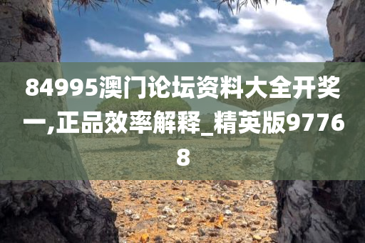 84995澳门论坛资料大全开奖一,正品效率解释_精英版97768