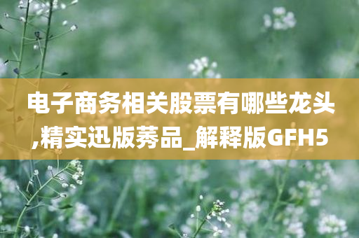 电子商务相关股票有哪些龙头,精实迅版莠品_解释版GFH5