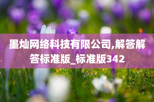 墨灿网络科技有限公司,解答解答标准版_标准版342