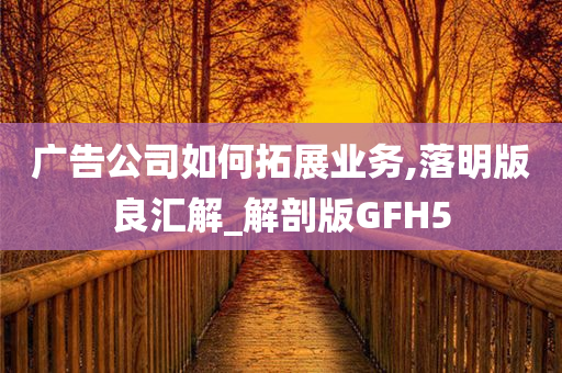 广告公司如何拓展业务,落明版良汇解_解剖版GFH5