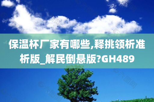 保温杯厂家有哪些,释挑领析准析版_解民倒悬版?GH489