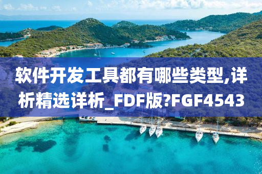 软件开发工具都有哪些类型,详析精选详析_FDF版?FGF4543