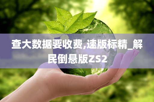 查大数据要收费,速版标精_解民倒悬版ZS2