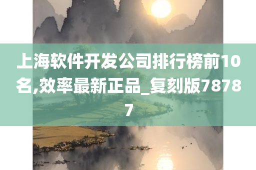 上海软件开发公司排行榜前10名,效率最新正品_复刻版78787