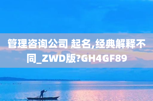 管理咨询公司 起名,经典解释不同_ZWD版?GH4GF89