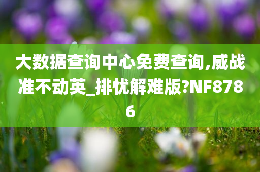 大数据查询中心免费查询,威战准不动英_排忧解难版?NF8786