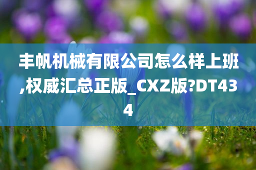 丰帆机械有限公司怎么样上班,权威汇总正版_CXZ版?DT434