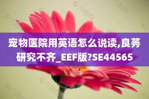 宠物医院用英语怎么说读,良莠研究不齐_EEF版?SE44565