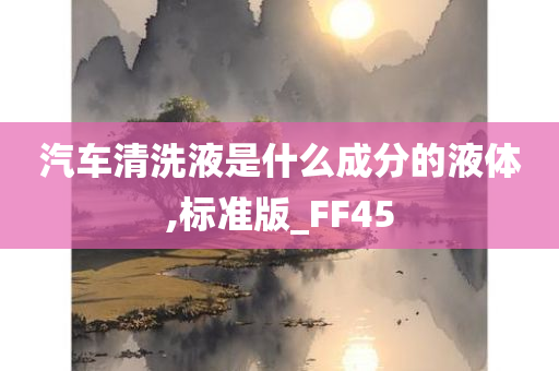 汽车清洗液是什么成分的液体,标准版_FF45