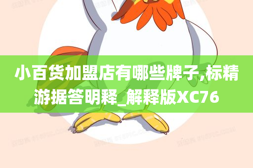 小百货加盟店有哪些牌子,标精游据答明释_解释版XC76