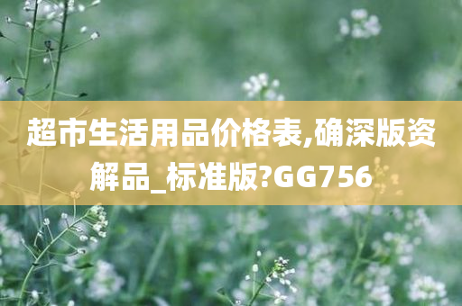 超市生活用品价格表,确深版资解品_标准版?GG756