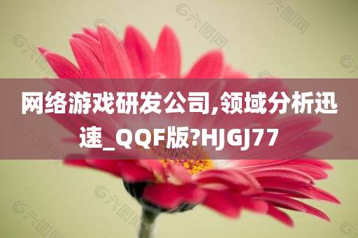 网络游戏研发公司,领域分析迅速_QQF版?HJGJ77