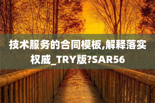 技术服务的合同模板,解释落实权威_TRY版?SAR56