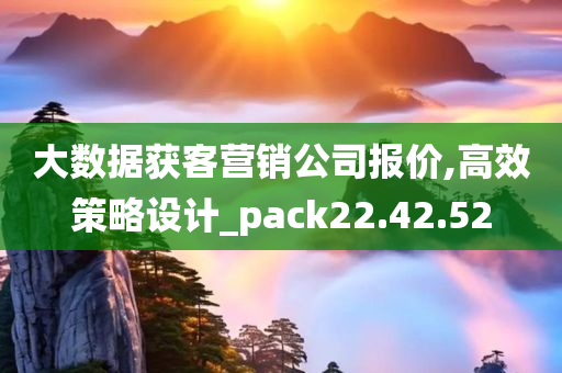 大数据获客营销公司报价,高效策略设计_pack22.42.52