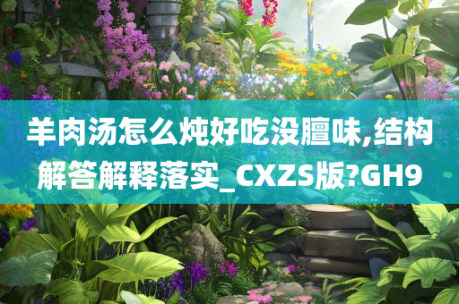 羊肉汤怎么炖好吃没膻味,结构解答解释落实_CXZS版?GH9