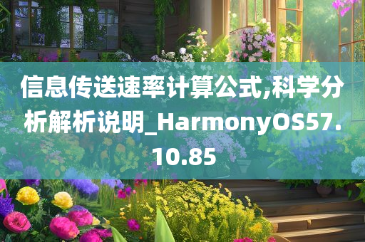 信息传送速率计算公式,科学分析解析说明_HarmonyOS57.10.85