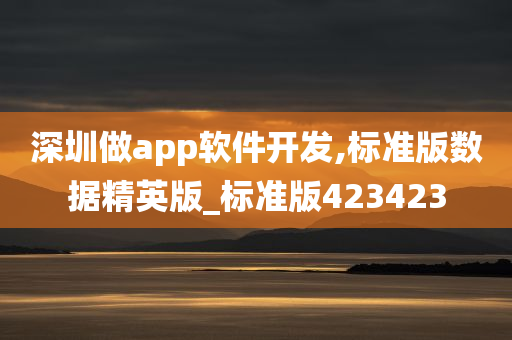 深圳做app软件开发,标准版数据精英版_标准版423423