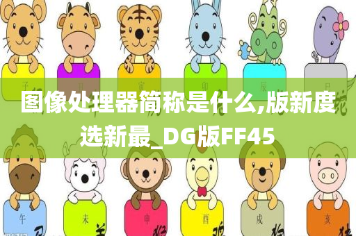 图像处理器简称是什么,版新度选新最_DG版FF45