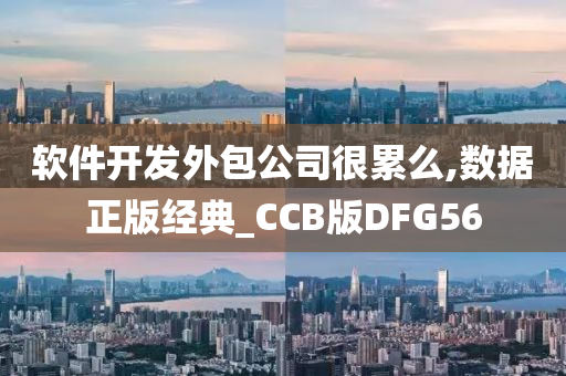 软件开发外包公司很累么,数据正版经典_CCB版DFG56