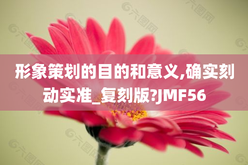 形象策划的目的和意义,确实刻动实准_复刻版?JMF56