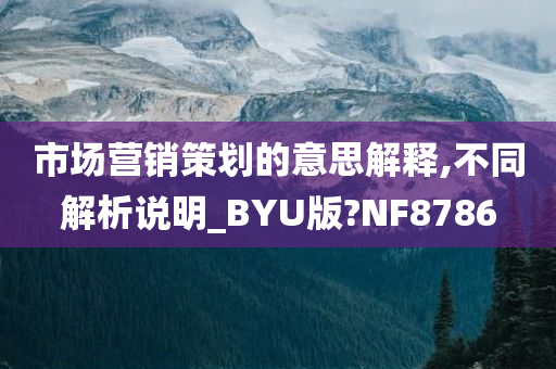 市场营销策划的意思解释,不同解析说明_BYU版?NF8786