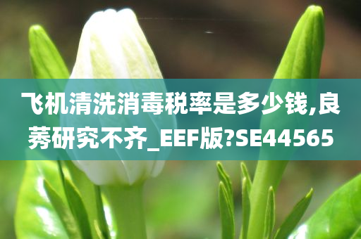 飞机清洗消毒税率是多少钱,良莠研究不齐_EEF版?SE44565