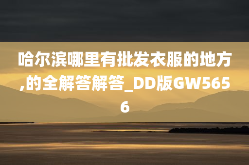 哈尔滨哪里有批发衣服的地方,的全解答解答_DD版GW5656