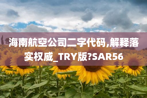 海南航空公司二字代码,解释落实权威_TRY版?SAR56