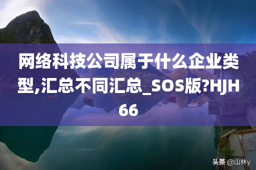 网络科技公司属于什么企业类型,汇总不同汇总_SOS版?HJH66