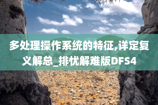 多处理操作系统的特征,详定复义解总_排忧解难版DFS4