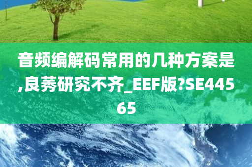 音频编解码常用的几种方案是,良莠研究不齐_EEF版?SE44565