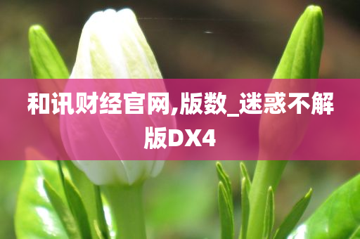 和讯财经官网,版数_迷惑不解版DX4