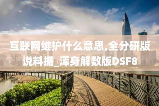 互联网维护什么意思,全分研版说料据_浑身解数版DSF8