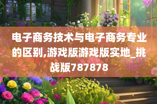 电子商务技术与电子商务专业的区别,游戏版游戏版实地_挑战版787878